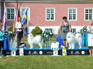 2019 Euroshow Bob Bos